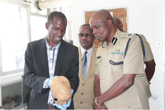 Forensic Investigation Mastery